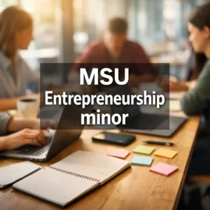 msu entrepreneurship minor